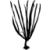 Ochrophytes